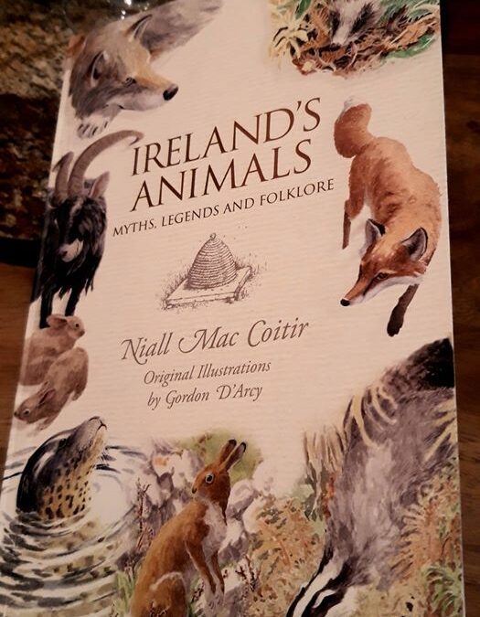 Loup en Irlande : mythes, légendes, folklore