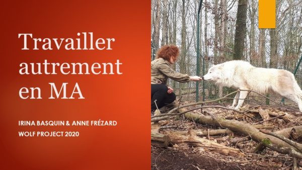 Apprendre à travailler autrement en médiation animale (zoothérapie)
